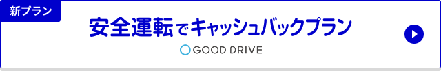 S^]ŃLbVobNv@GOOD DRIVE