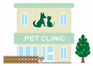 pet clinic